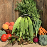 CSA Summer Full Share (2026)