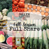 CSA Fall Full Share (2026)