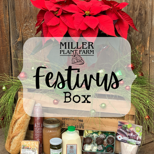 Festivus Box