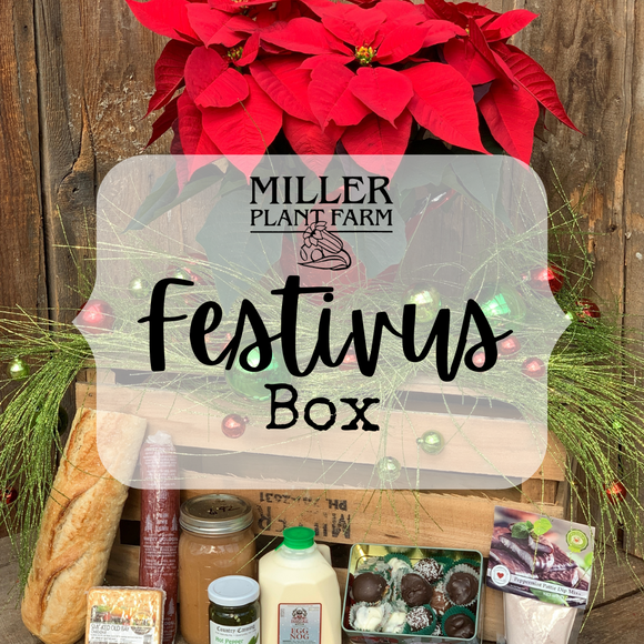 Festivus Box
