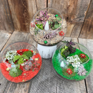 Holiday Terrarium Workshop