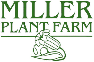 Miller Plant Farm York PA Garden Center Market