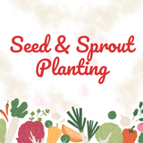 Seed & Sprout Planting