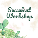Succulent Workshop