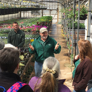 Greenhouse Production Tours