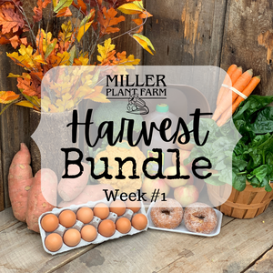 Harvest Bundle Week #1