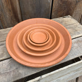 Terra Cotta Pottery