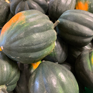 Acorn Squash