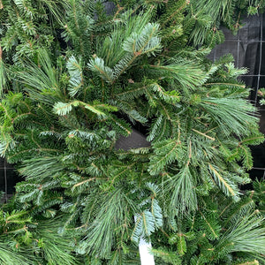 Undecorated Wreath (mixed green)