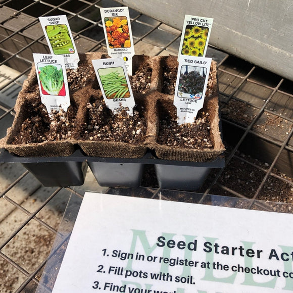 Seed Starter for Kids